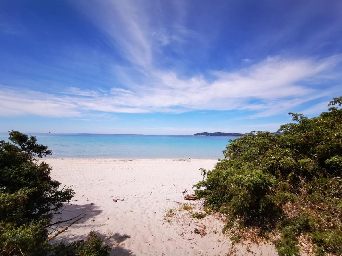 Royal Apartment Sea View 阿尔盖罗 外观 照片